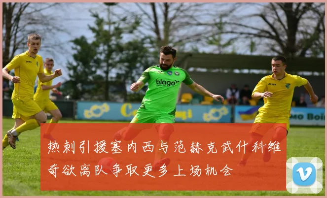 热刺引援塞内西与范赫克武什科维奇欲离队争取更多上场机会